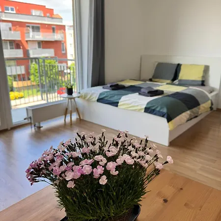 Airport Apartman Visek Chyne Exterior photo