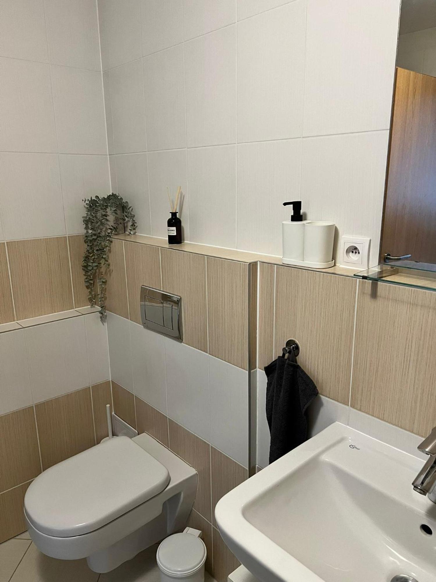 דירה Airport Visek